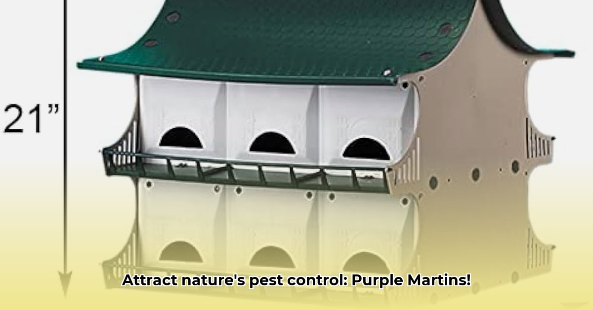 purple-martin-houses-tractor-supply